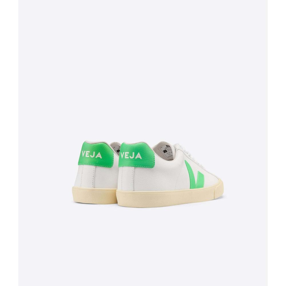 Veja ESPLAR CHROMEFREE BUTTER-SOLE Tenisky Panske Biele | SK 301BEX